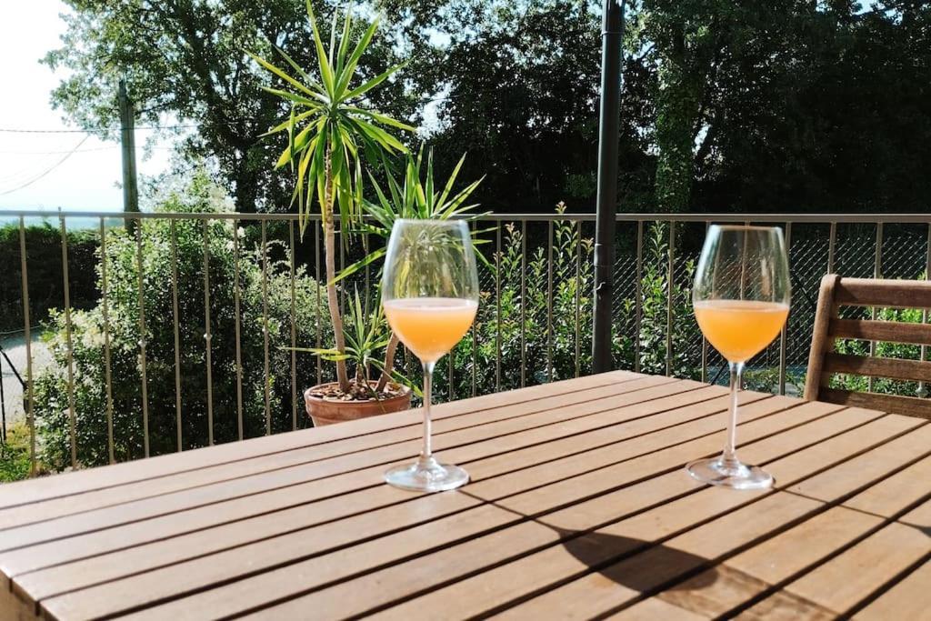 Charmante Maison Avec Jardin Aux Portes Des Gorges De L'Ardeche Saint-Julien-de-Peyrolas エクステリア 写真
